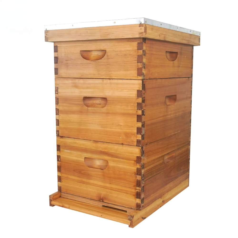 Beehive Frame Wax - 3 katmanlı, balmumu ile kaplanmış Langstroth